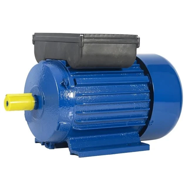 Single Phase Ac Induction Motor