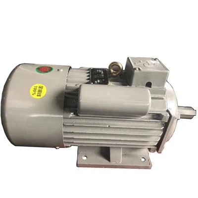 20v Ac Single Phase Asynchronous Induction Motor