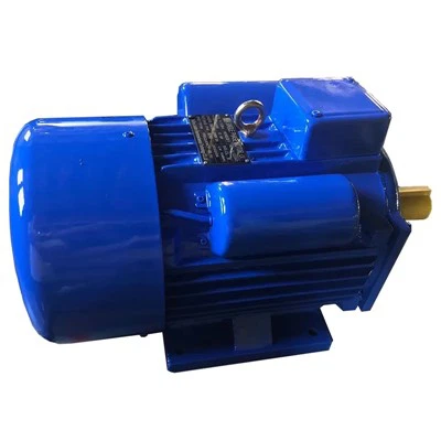 Ac Single Phase Induction Electric Motor