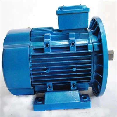 Ac Three Phase Electric Motor