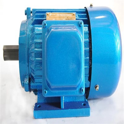 Brushless Three Phase Induction Motor
