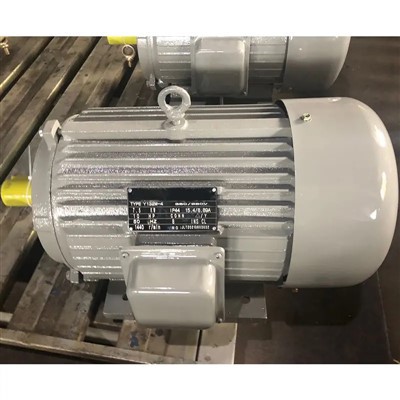 Electric Motor 3 Phase