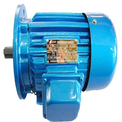 Single Phase Ac Induction Electric Motor