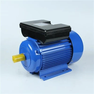 Single Phase Ac Induction Motors