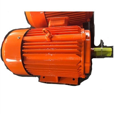 Three-phase Induction Motor