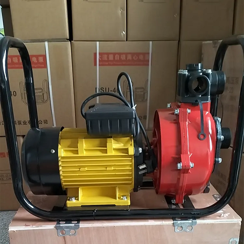 20250311154801 20250311154801